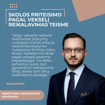 Skolų priteisimo dokumentų rengimas Kaunas Martynas Antanaitis nuotrauka 12