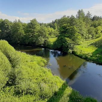 Paslauga