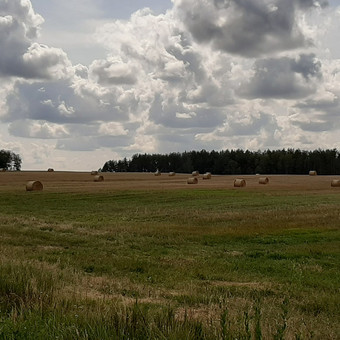 Paslauga