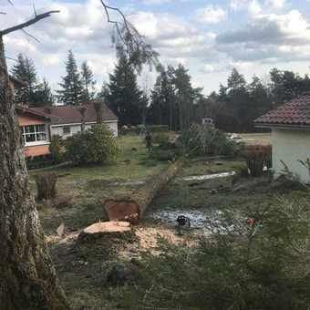 Kelmų frezavimas Kaunas Algirdas Zemeckis nuotrauka 12
