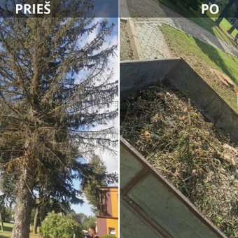Šakų smulkinimas Panevėžys Rimas. M.- (Aboristas) nuotrauka 5
