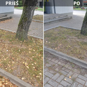Lapų grėbimas, šlavimas. Alytus Vytenis nuotrauka 7 Lapų grėbimas Alytus Vytenis nuotrauka 7