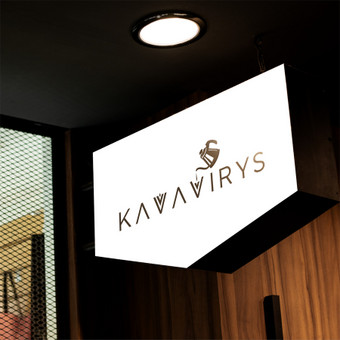 Logotipų kūrimas Panevėžys Thedigitalfeather nuotrauka 8