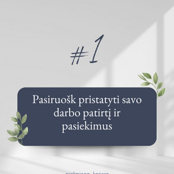 Paruošimas darbo pokalbiui Klaipėda Živilė Budrikė nuotrauka 2