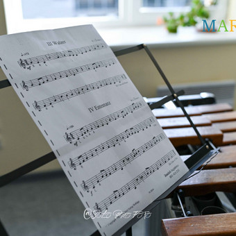 Būgnų pamokos Vilnius VšĮ "MariArs muzika" nuotrauka 6