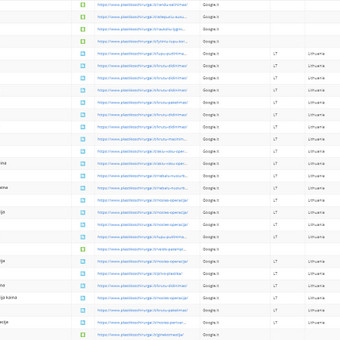 Vidinis SEO sudaro tik mažą dalį projekto SEO svorio, tačiau, be tvarkingo vidinio SEO yra neįmanoma iškelti konkurencingo projekto į aukštas pozicijas. Klaipėda Aivaras Jocys / SEOpartneriai.lt nuotrauka 3 SEO optimizavimas Klaipėda Aivaras Jocys / SEOpartneriai.lt nuotrauka 3