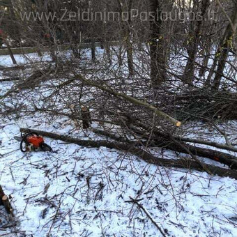 Apleistų sklypų tvarkymas Vilnius Želdinimo Paslaugos nuotrauka 7