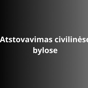 Įmonių, verslo teisės paslaugos Vilnius Edvinas Bakanauskas nuotrauka 10