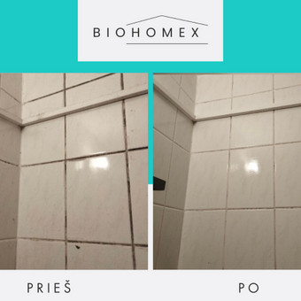 Pelėsio naikinimas vonios kambaryje Vilnius BioHomEx nuotrauka 16