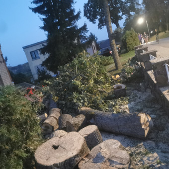 Medžių pjovimas Kapinėse Panevėžys Rimas. M.- (Aboristas) nuotrauka 6