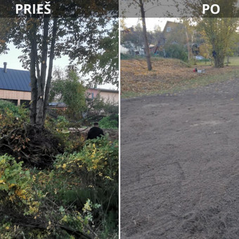 Apleistų sklypų tvarkymas Panevėžys Rimas. M.- (Aboristas) nuotrauka 3