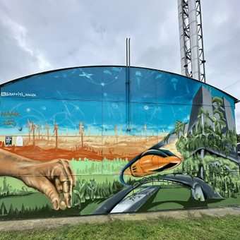 Grafiti piešimas Vilnius Rinalds Vanadzins nuotrauka 1