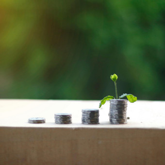 Tikslo siekimas Vilnius Katrina Č. nuotrauka 3