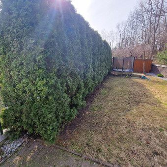 Sklypų kosmetinis tvarkymas, žolės pjovimas, gyvatvorių genėjimas, lapų grėbimas, sniego kasimas ir t.t. Vilnius Laurynas nuotrauka 11 Aplinkos tvarkymas Vilnius Laurynas nuotrauka 11