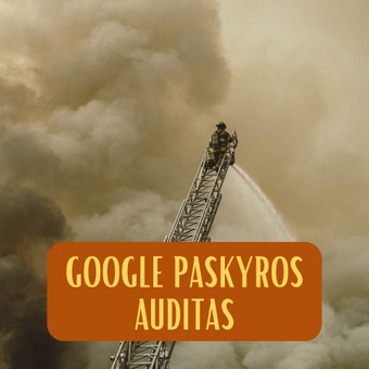 Google ads paskyros auditas Kaunas Greta nuotrauka 5