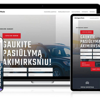 Interneto svetainių priežiūra Vilnius Amber Web nuotrauka 5