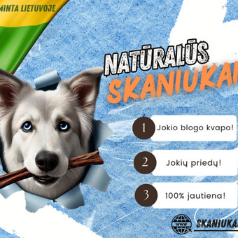 Panevėžys Pagalvosiu.lt nuotrauka 1 Socialinių tinklų kūrimas ir administravimas Panevėžys Pagalvosiu.lt nuotrauka 1