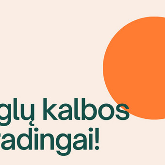 Verslo anglų kalbos kursai Klaipėda Rasa nuotrauka 4