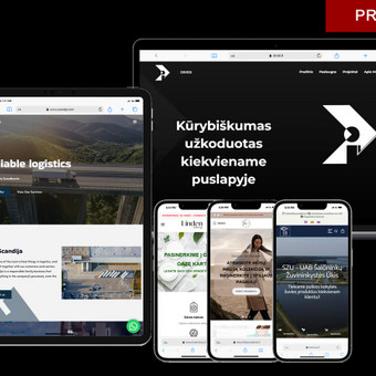API integracija Vilnius Dividi nuotrauka 8