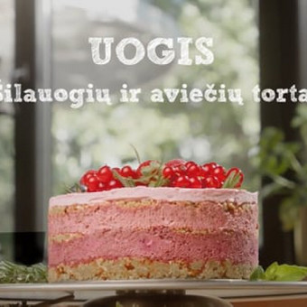 Reklaminių klipų kūrimas Vilnius GERAS KADRAS nuotrauka 2