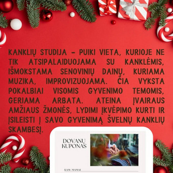 Dovanų kuponai Vilnius Anikė Lažauninkaitė nuotrauka 2