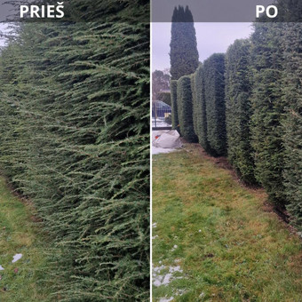 Gyvatvorių karpymas Kaunas UAB "Tvarkingas kiemas" nuotrauka 3