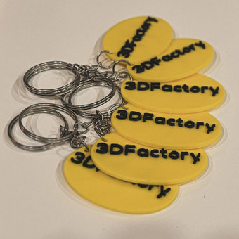 Spalvotas 3D spausdinimas Šiauliai 3D FACTORY nuotrauka 6