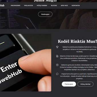 Seo Optimizacija (Auditas) Šiauliai SeoWebHub nuotrauka 4