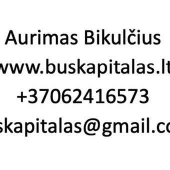 Investicinių projektų rengimas Vilnius Aurimas Bikulčius nuotrauka 2