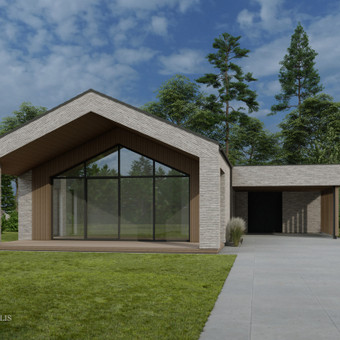 Individualių namų projektavimas Kaunas Rokas Bizulis ir architektai, MB nuotrauka 5