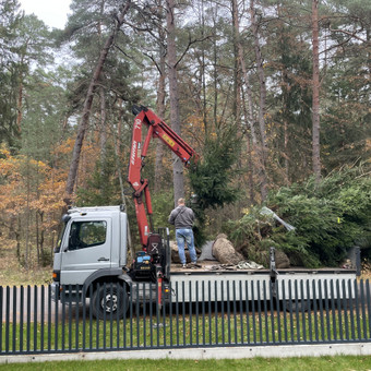 Medžių sodinimas Kaunas MB Hortus pro nuotrauka 5