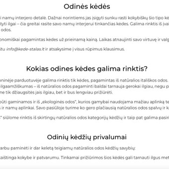 SEO straipsnių rašymas Vilnius Silvija Aksiutinaitė nuotrauka 4
