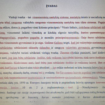 Teksto redagavimas Vilnius Evelina Grinevič-Trenkamp nuotrauka 2