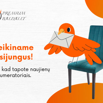 Efektyvus bei išradingas naujienlaiškių marketingas Jūsų verslui - Omnisend, Mailchimp ir kitose platformose. Vilnius Verba Perfecta nuotrauka 11 Naujienlaiškių marketingas Vilnius Verba Perfecta nuotrauka 11