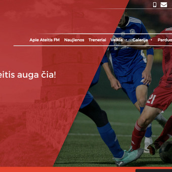 Kuriame modulius, diegiame unikalų funkcialumą, suprogramuojame dizainą. Vilnius Vaidas Jokubauskas nuotrauka 4 Programavimas su WordPress Vilnius Vaidas Jokubauskas nuotrauka 4