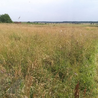 Pievų šienavimas Klaipėda MB Edtra nuotrauka 3