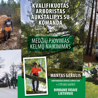Medžių genėjimas Kaunas Mantas Gerulis nuotrauka 4