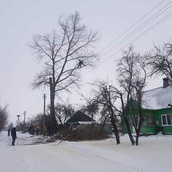 Paslauga