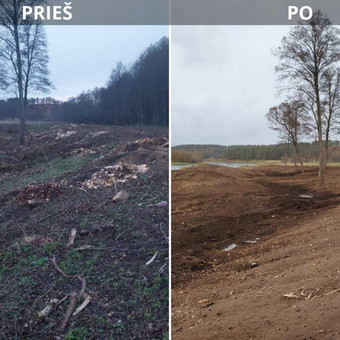 Šakų išvežimas Vilnius UAB Deforta nuotrauka 4