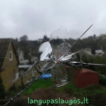 Paslauga