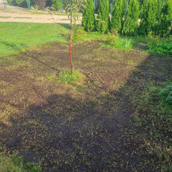 Atnaujiname vejas. Skarifikuojame, aeruojame, tręšiame. Kaunas MB Žolvita nuotrauka 5 Vejos atnaujinimas Kaunas MB Žolvita nuotrauka 5