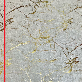 Marmurinis kilimas Klaipėda Foto sienelės nuoma nuotrauka 19