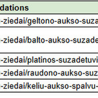 URL struktūros rekomendacijos Vilnius Gerda nuotrauka 5