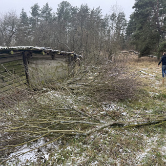 Sklypo valymas Druskininkų sav. MB Allstata nuotrauka 10
