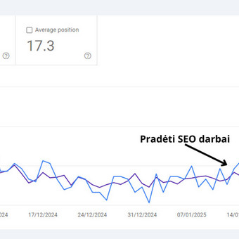 SEO optimizavimas Vilnius Gerda nuotrauka 3