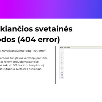 SEO auditas Vilnius Gerda nuotrauka 4