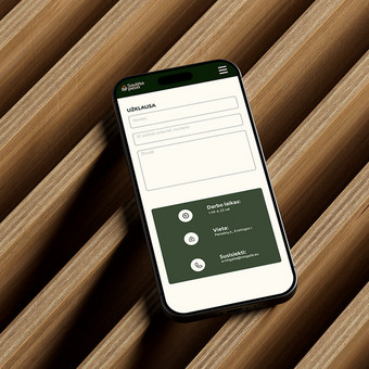 Svetainių dizainas (web design) Vilnius J.G. nuotrauka 2