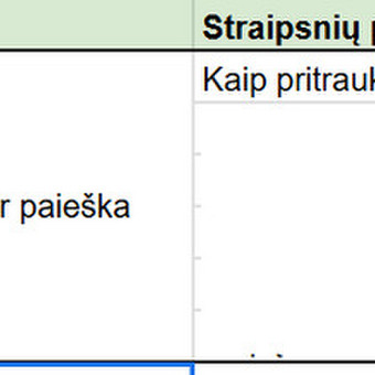 SEO turinio planas Vilnius Gerda nuotrauka 8