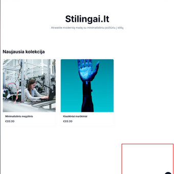 DI (AI) chatbot’ų kūrimas ir integracija Klaipėda IĮ Didinam pardavimus / Donaldas Jautžemis nuotrauka 11