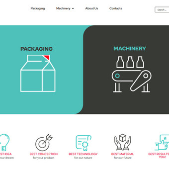 Programavimas su WordPress Jonavos rajonas MB EliteTechByte nuotrauka 6